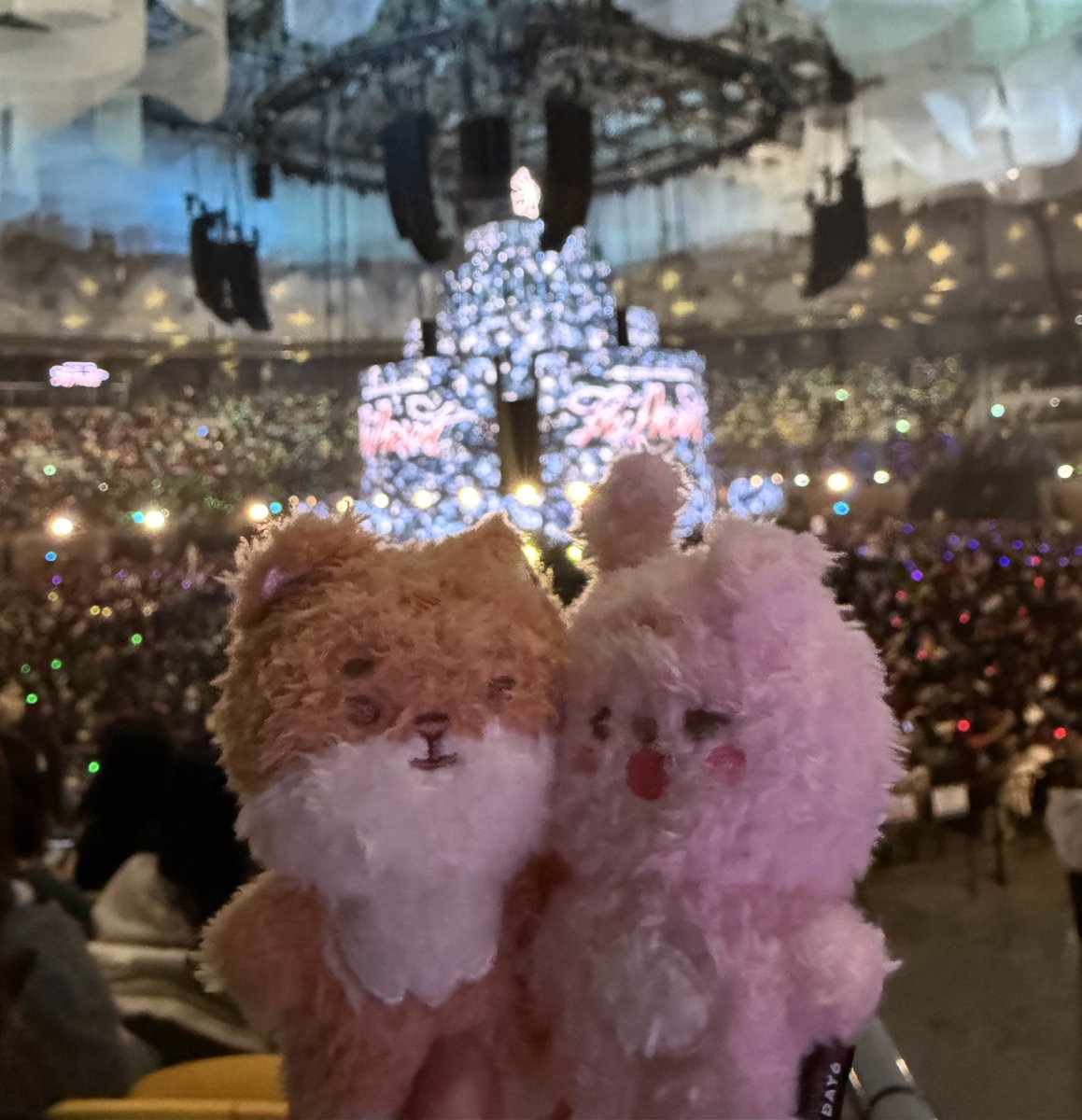 weakpoint_'s tweet image. 여러분에게 2025년은 어떤 해였을까요?
올해는 넘쳐나는 떡밥에 허우적거리며 달리기도 하고 때로는 게으르게 보냈는데요. 
함께 해주신 모든 분들 감사합니다❤️ 우리 내년에도 함께 재미있게 보냅시다‼️🥹
모두 새해 복 받으세요🫶🏻