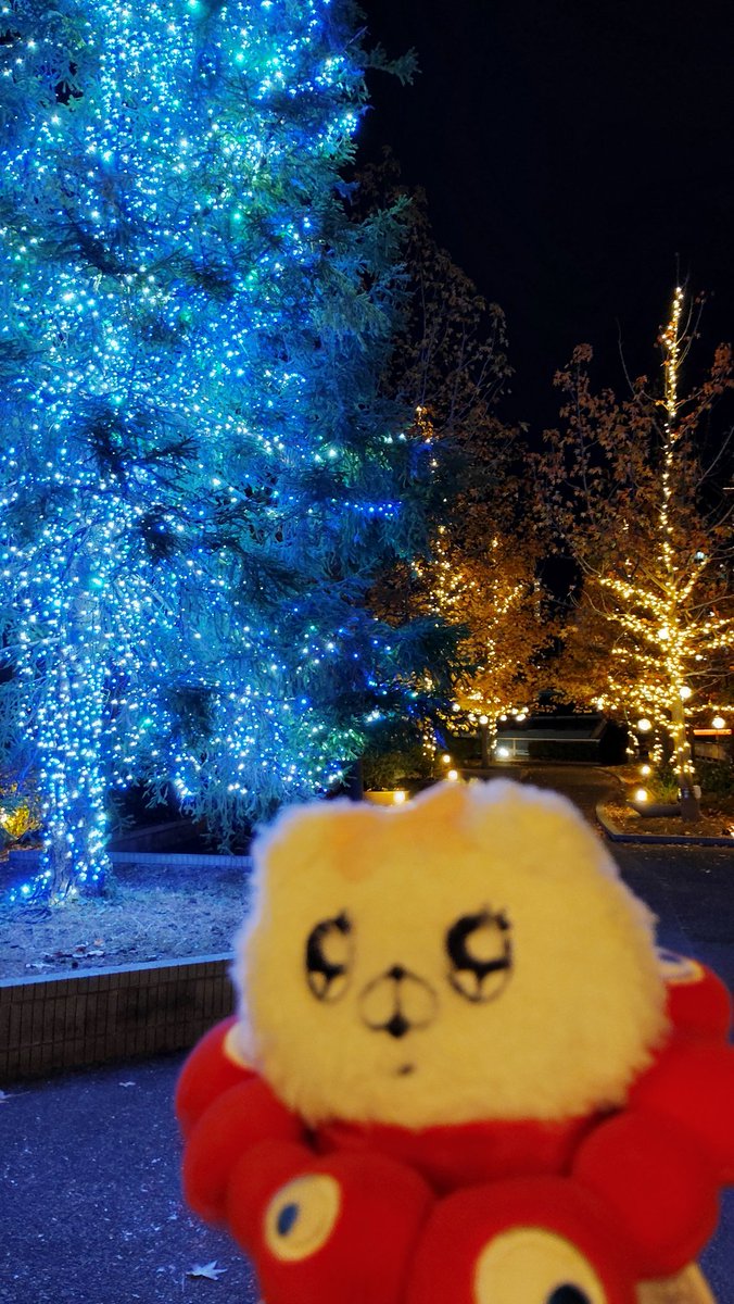 coppy228's tweet photo. @P99815170 クリスマスマーケットいいですね🤗✨
クマ子のミニツリー🎄も小さいのに精巧で可愛いです💮
今年はクリスマス投稿が出来なかったので来年は頑張りたいです(っ´ω`c) https://t.co/uXMViavsVp