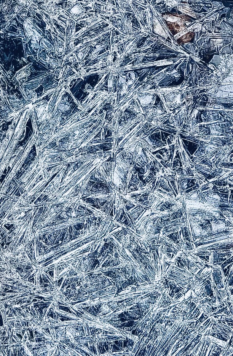 SprawlBusters's tweet image. A federal judge in CA on Xmas Eve barred ICE and DOJ from making “sweeping” civil arrests at immigration courthouses in CA. If noncitizens appear in court they are  arrested. If they fail to appear they lose their asylum claims.
latimes.com/california/sto…