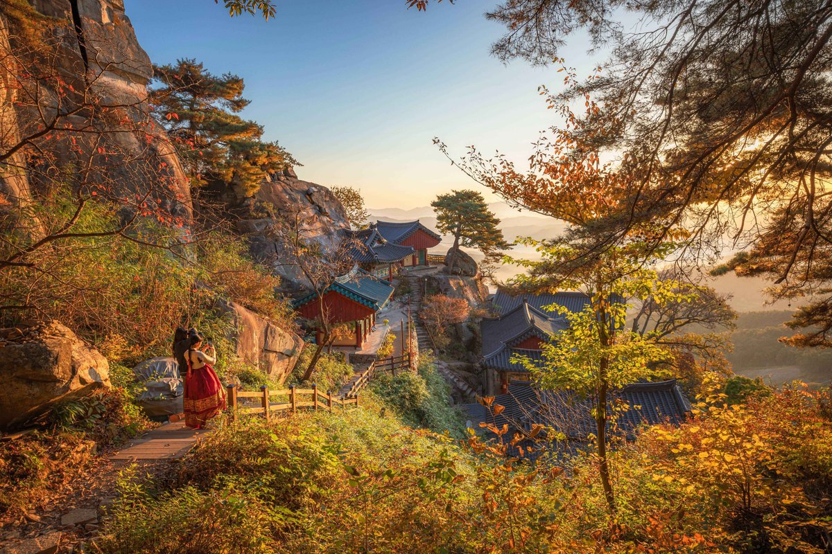 Kor_Visitkorea's tweet photo. 파워 J를 위한 계절별 국내 여행지 미리 추천 드림✨ https://t.co/PLOxCqf6H6