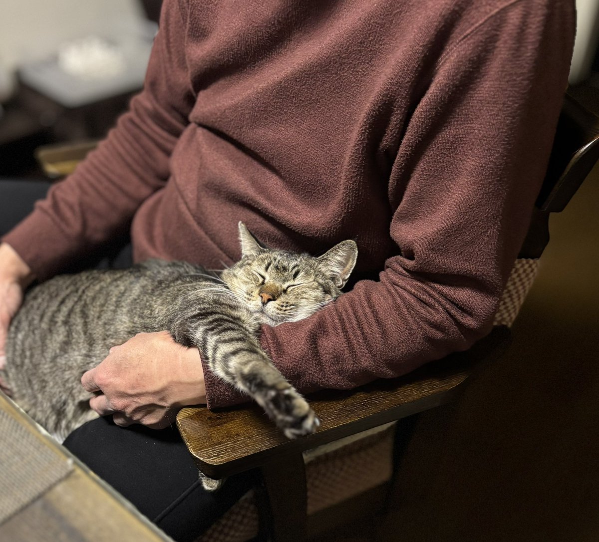 天野千恵美　作品　　入手困難 天野智恵美 (@chi_emi_a) • Instagram photos and videos