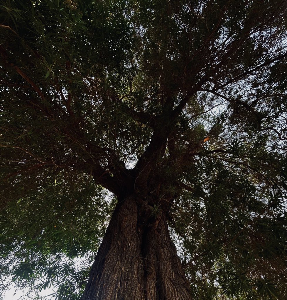 G (@closettheflame) on Twitter photo 