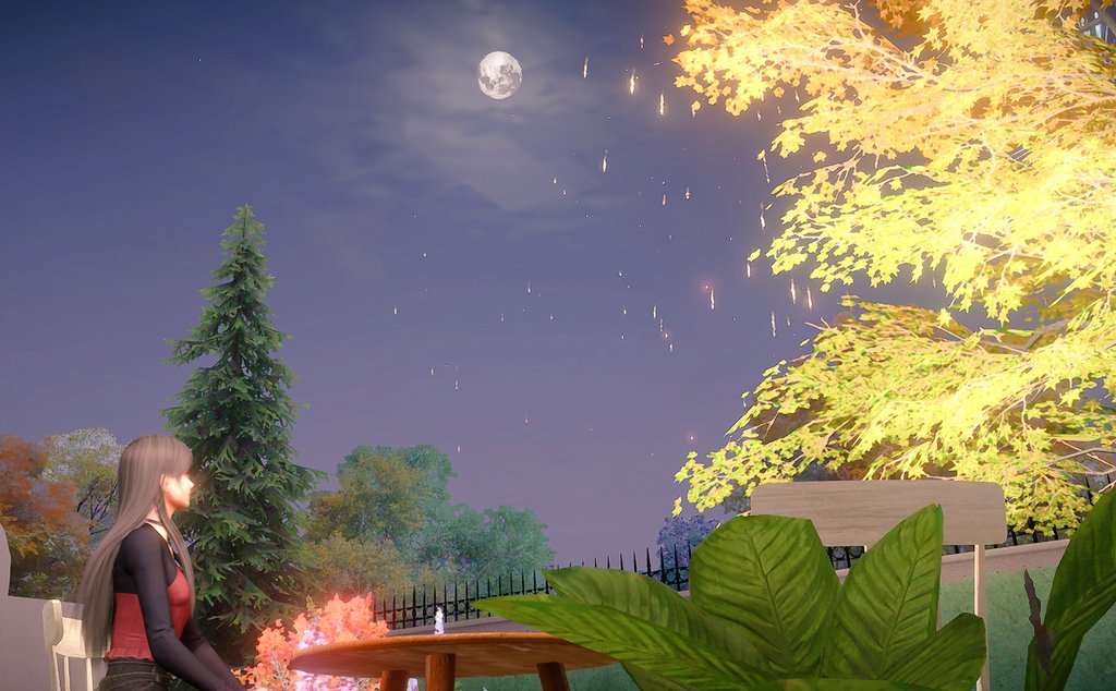 素敵な彼が居るのにどうして一人寂しく花火を見ているのか？それはね、カメラの設定を必死に弄ってる間にサッサと家へ籠ったからだよ