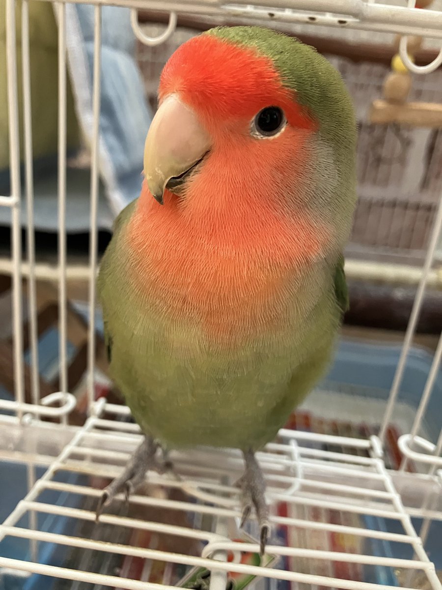 今年も1年、ありがとうございました。
来る2026年も宜しくお願いします😊
皆様、良いお年を‥