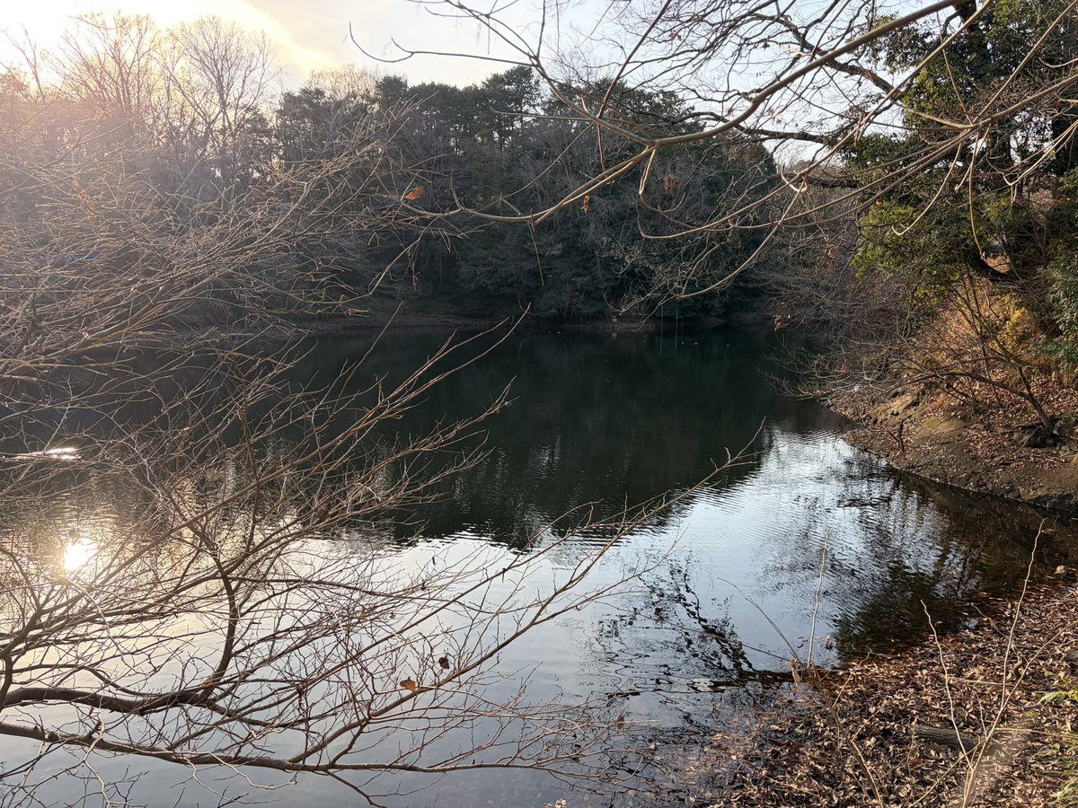 pede_deck's tweet image. 大正関東地震に伴う地すべりによって形成された堰き止め湖

湖というか、池