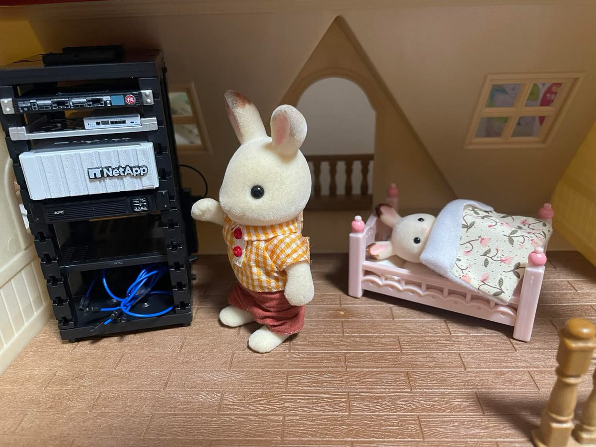 ๑╹◡╹๑) (@tsuchie88) / Posts / X