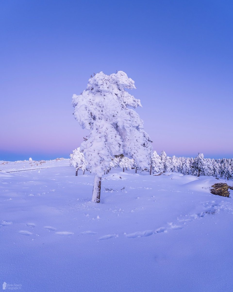 Paisaje de ensueño. 30/12/25 Provincia de Almería.