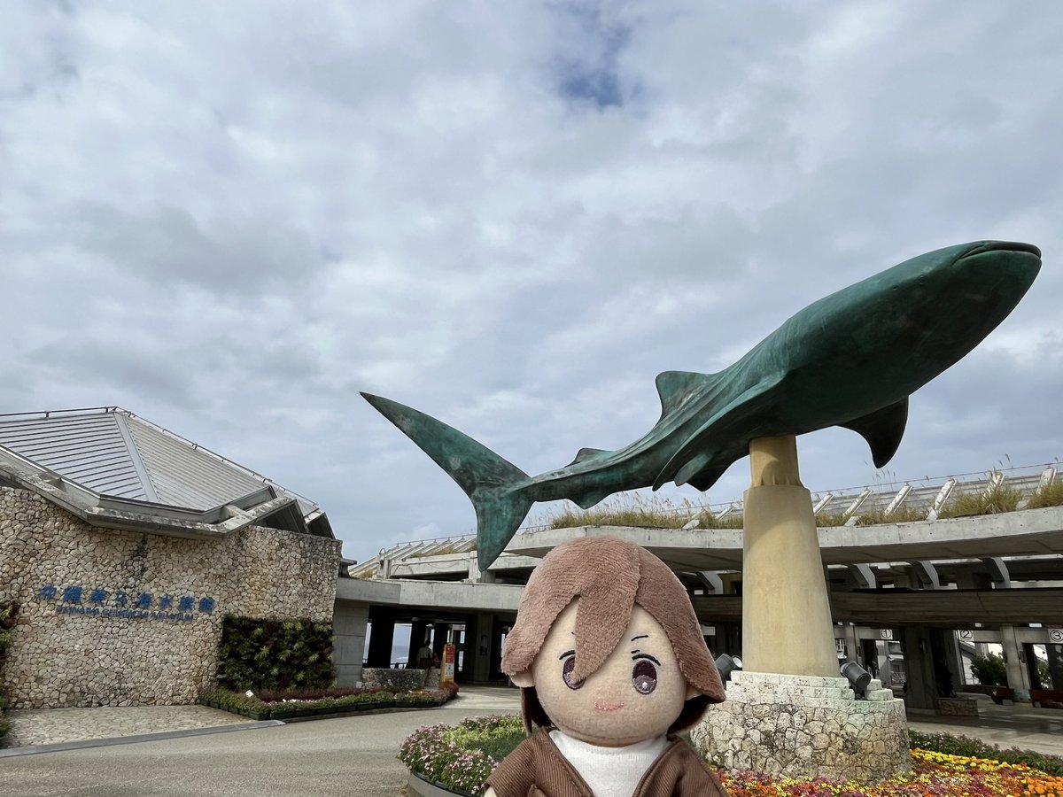美ら海水族館行ったらみんな撮るところ