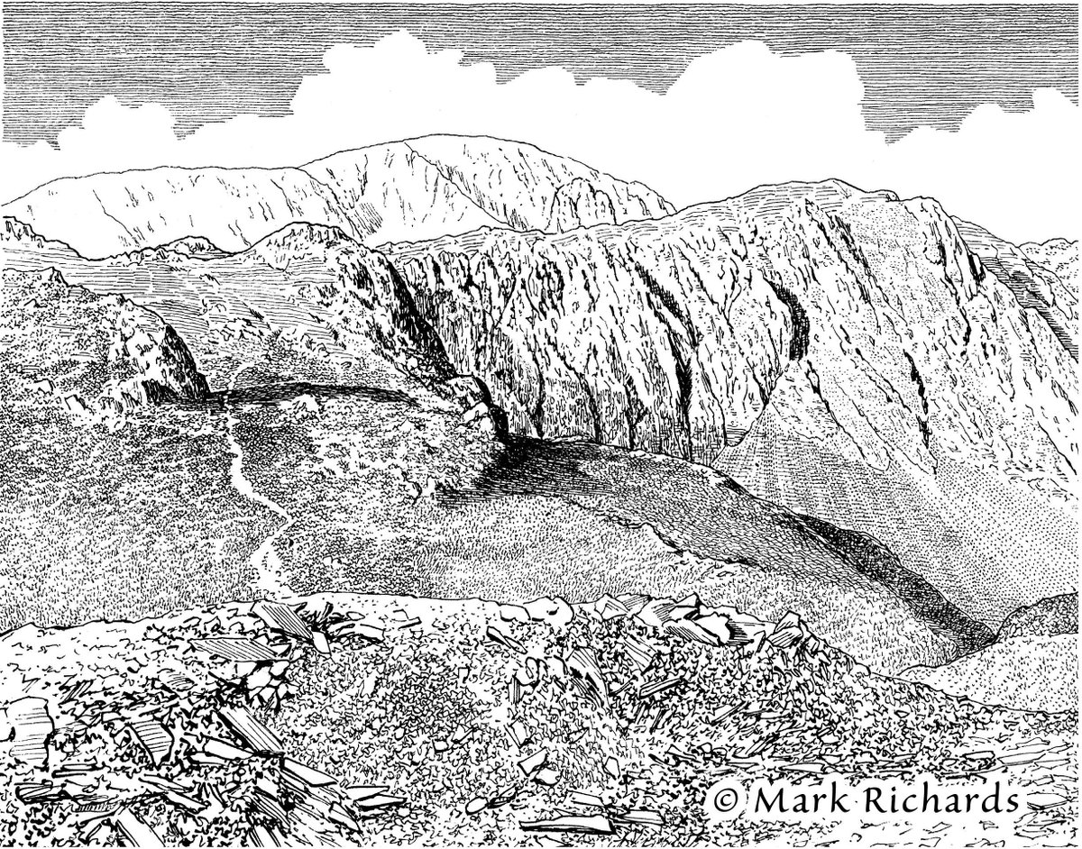 Countrystride tweet media