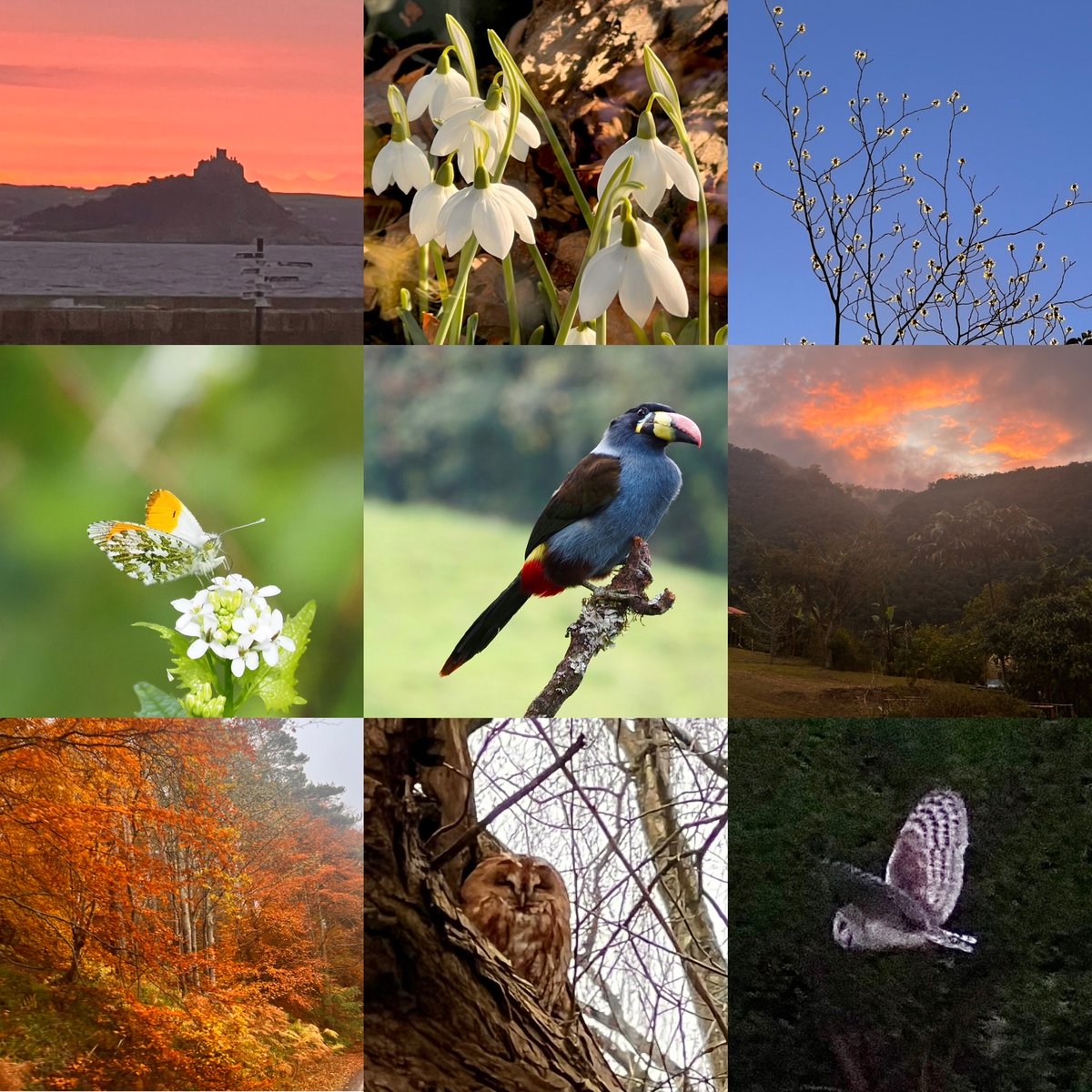 EarthyGarden's tweet photo. My 2025. New Year Greetings to everyone. 
#wildlifephotography #landscapephotography https://t.co/SkcxCavNWQ