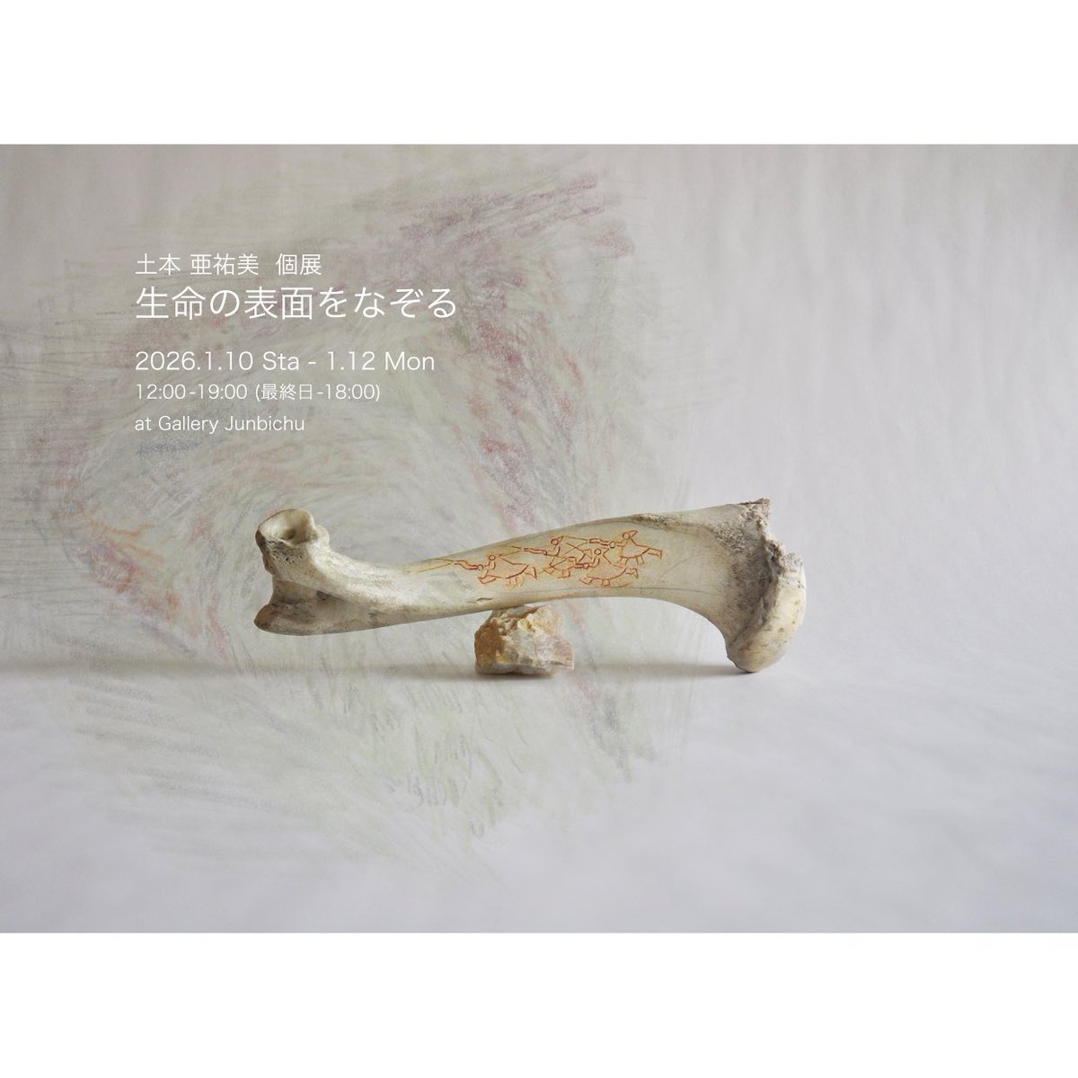 [準備中]
1/10土-12祝月
土本亜祐美
「生命の表面をなぞる」
12:00-19:00(最終日-18:00)