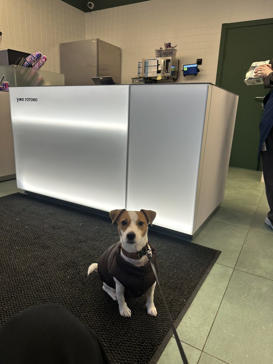 Это мы ходим по за продуктами к праздничному столу