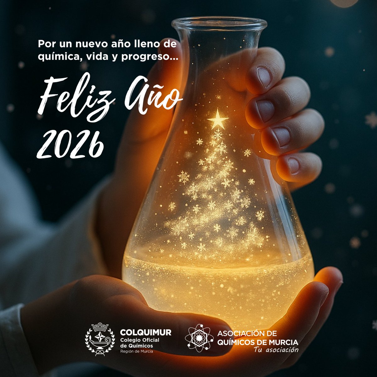 Gracias por acompañarnos un año más. Los avances, la innovación y el progreso no sería posible sin vosotros. 👏🏼
 
Desde el Colegio Oficial de Químicos de la Región de Murcia, junto a la Asociación de Químicos de Murcia, os deseamos una feliz nochevieja y feliz 2026. 🗓️🌃