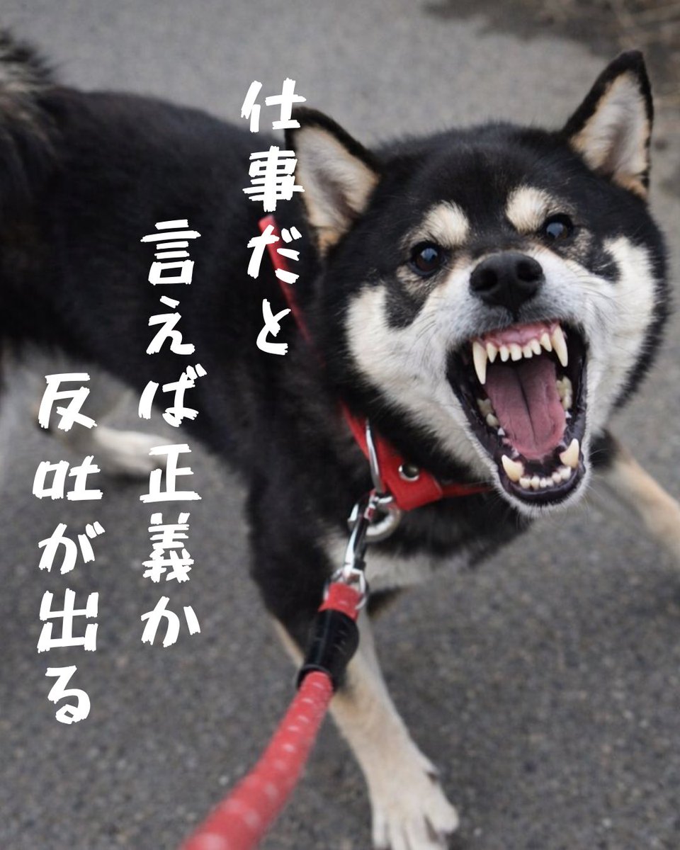 spiral_stm's tweet photo. 2025年が自分にとってどんな年だったか一句 https://t.co/Rz2FY6JkQ4