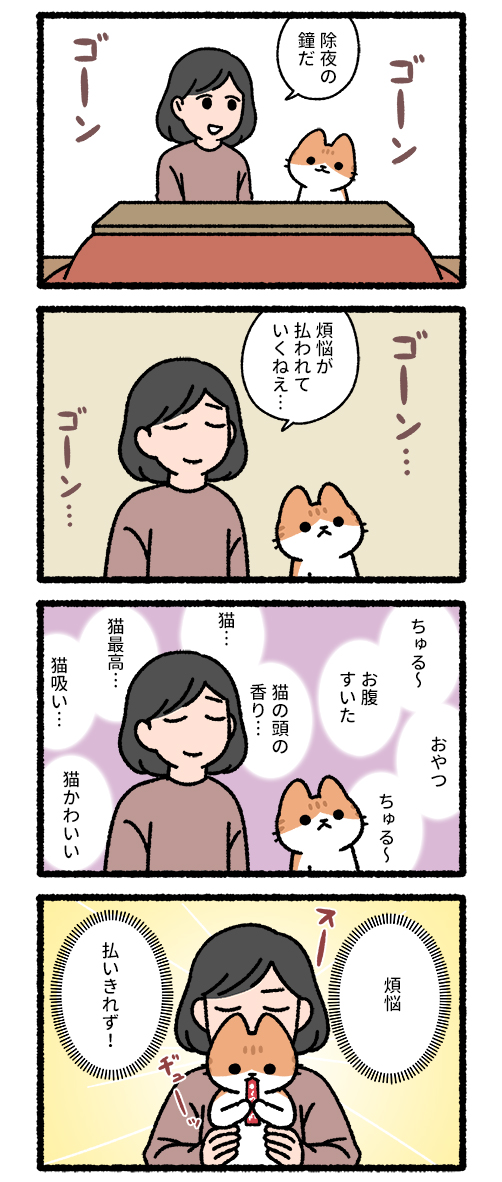 猫と大晦日