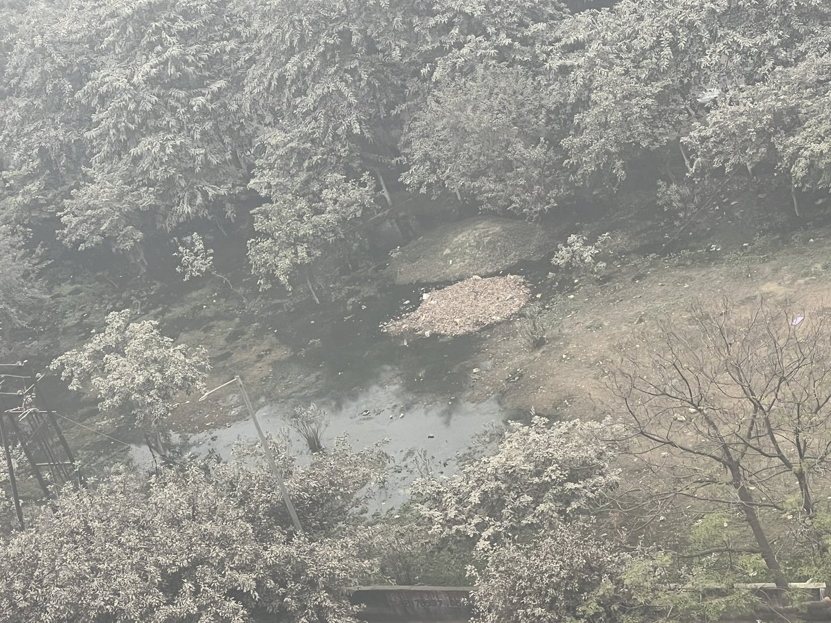 Sameer Singhal tweet media