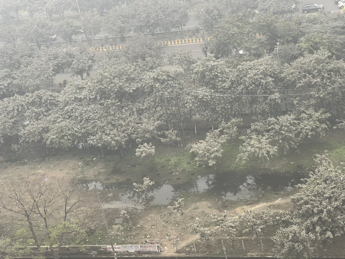 Sameer Singhal tweet media