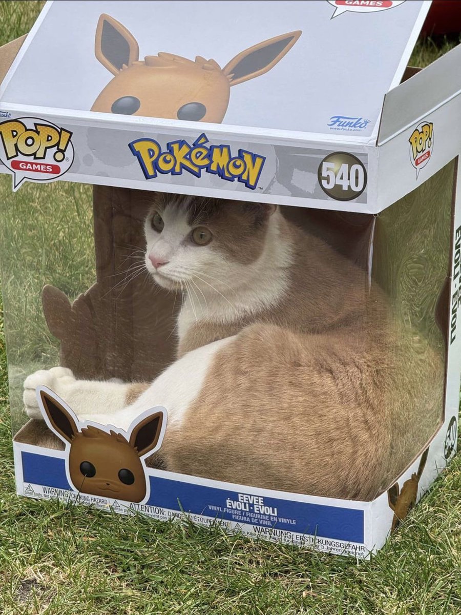 Why everyone loves Pokemon (@pokemon_twts) on Twitter photo 