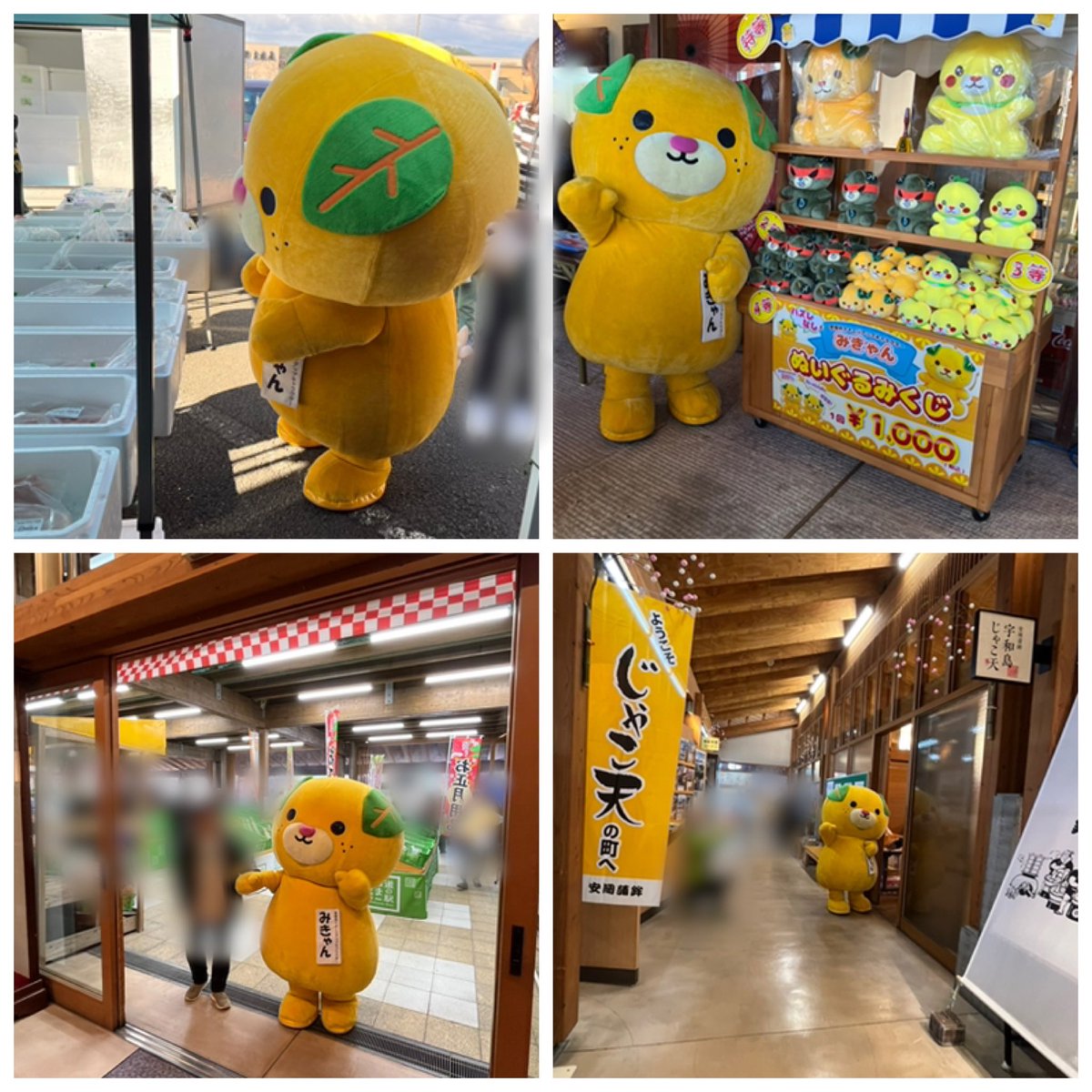 みきゃん様 こみきゃんのプロフィール - みきゃんのかんづめ - 愛媛県庁公式