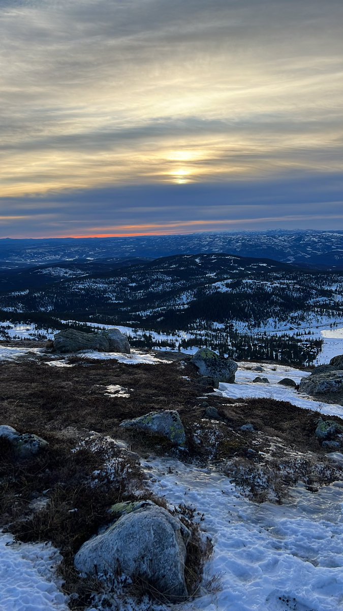 Tien (@defectumosu) on Twitter photo 