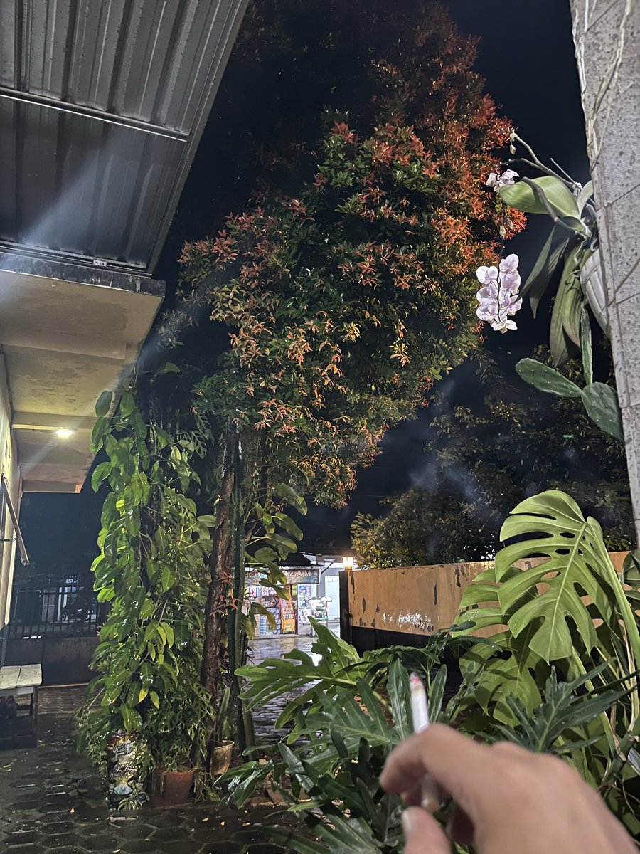 Hamdalah Djember hujan dari jam 3 sore, trus ini siapa yg lg bakar daging kambing aromanya semerbak sekali ~namun