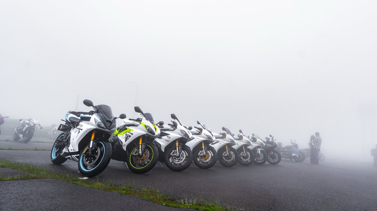 【非公式】プチ虎MTG tweet media