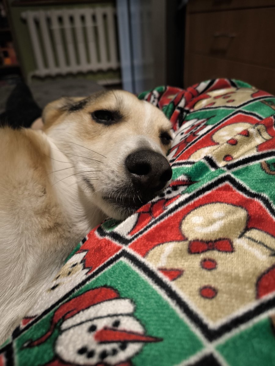 Наелись и отдыхаем