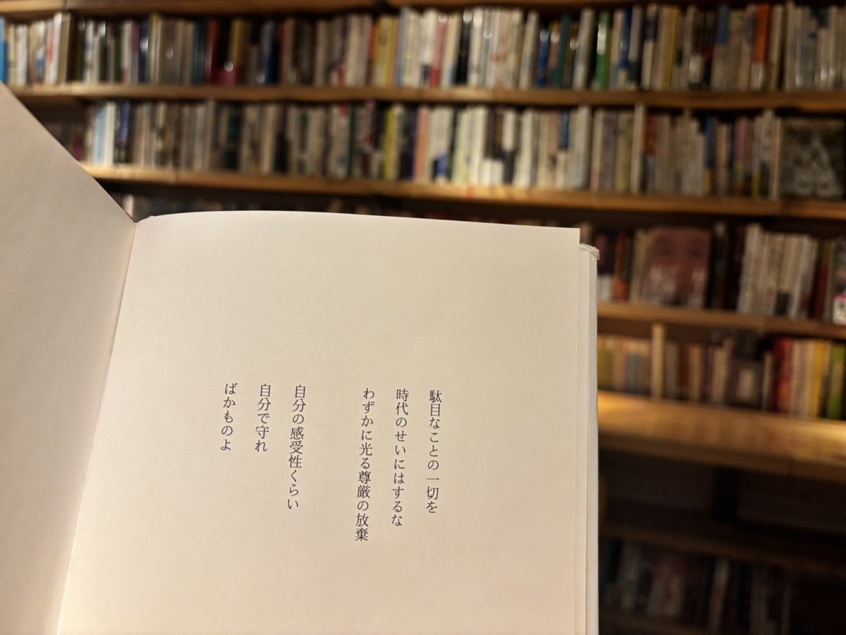2025読書納めは森の図書室でこの1冊でした！最高！