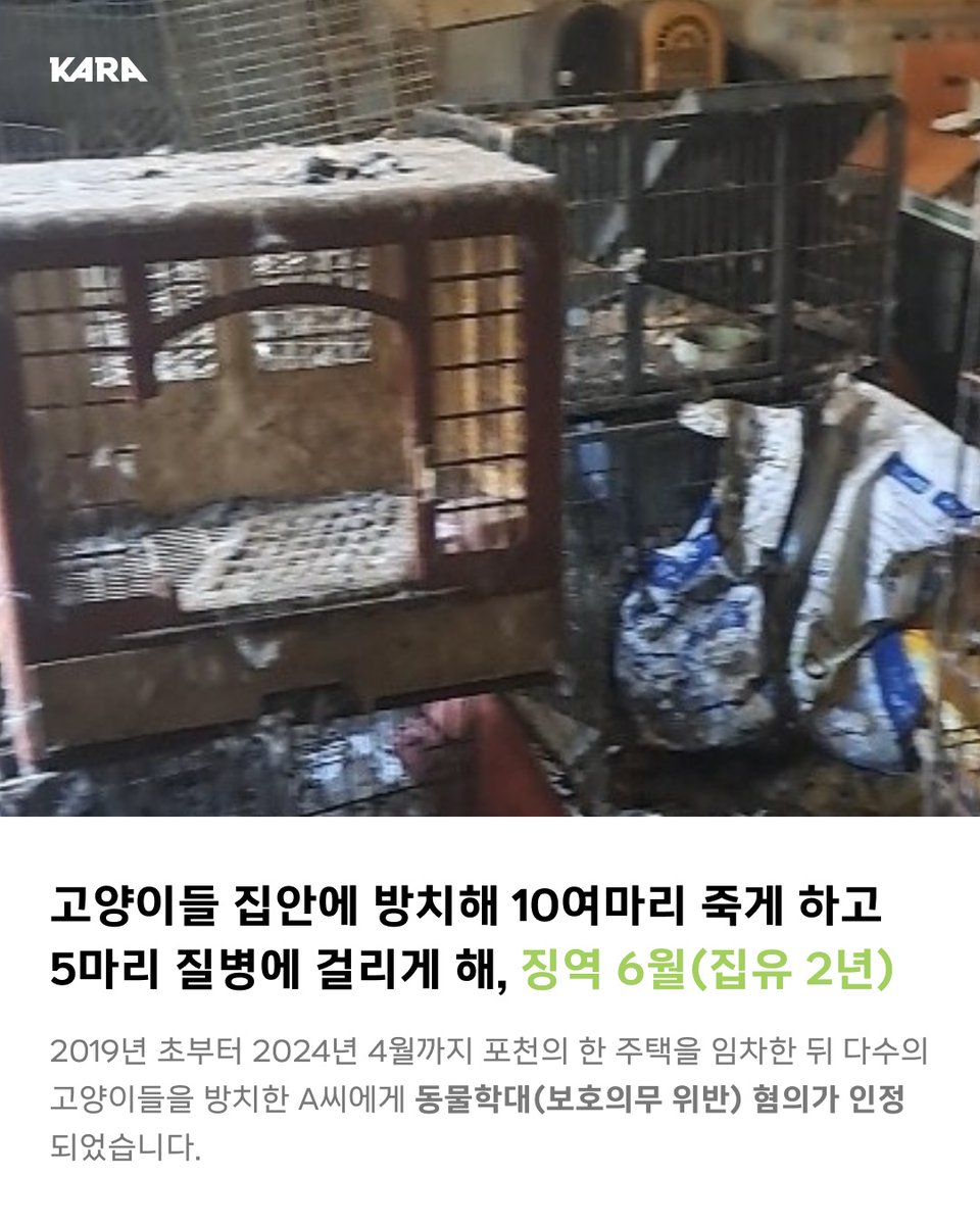 동물권행동 카라 tweet media