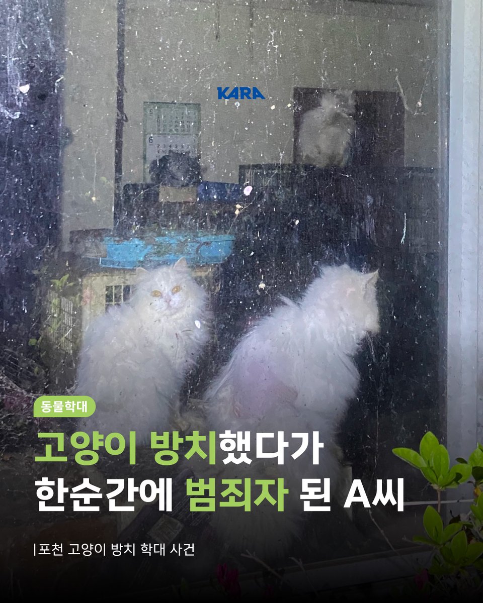 동물권행동 카라 tweet media