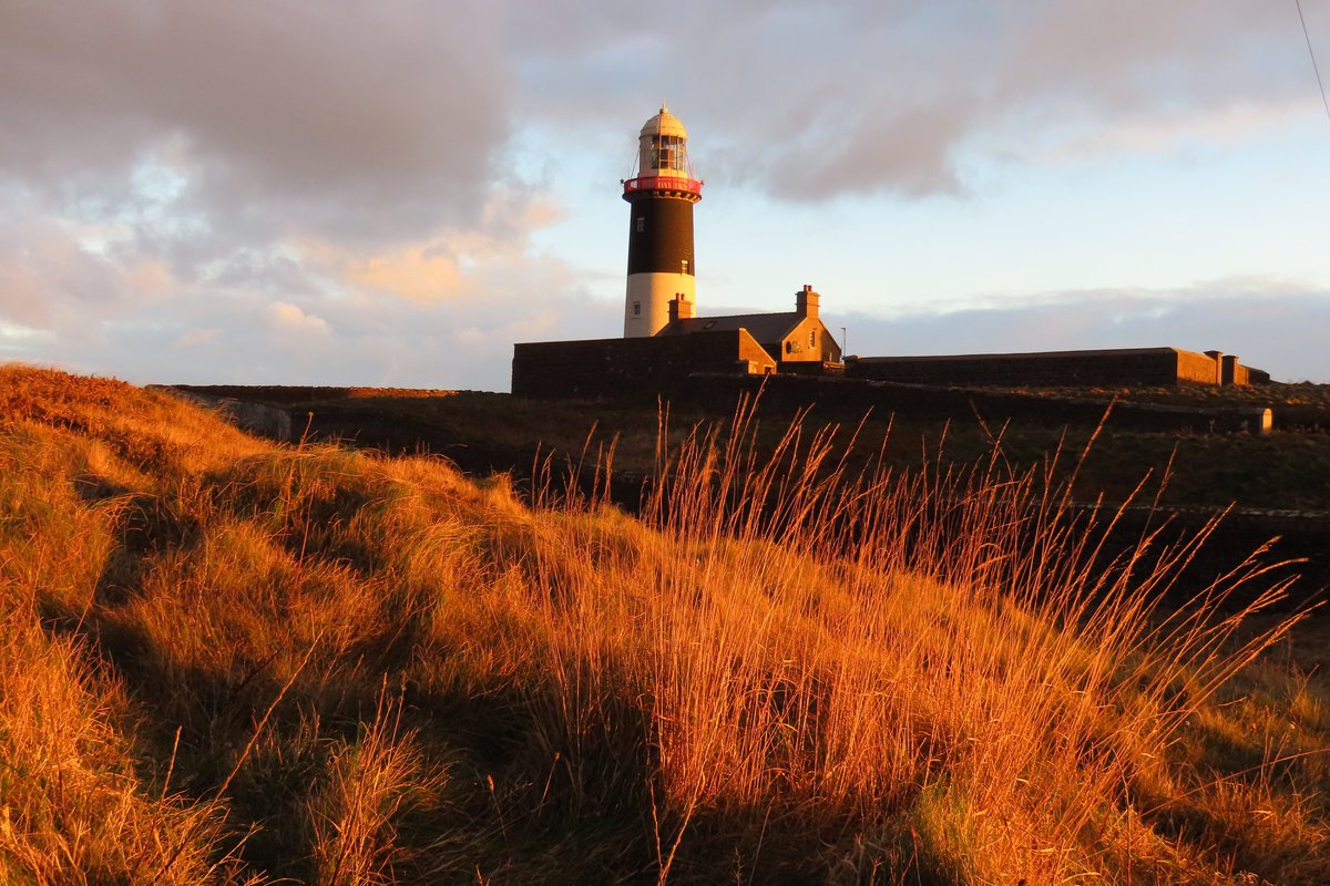 Rathlin Stickybeak tweet media