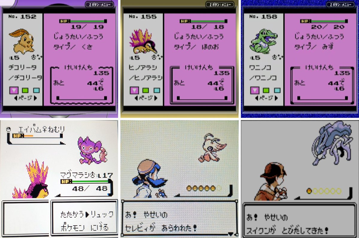 ASK＠ポケモン tweet media