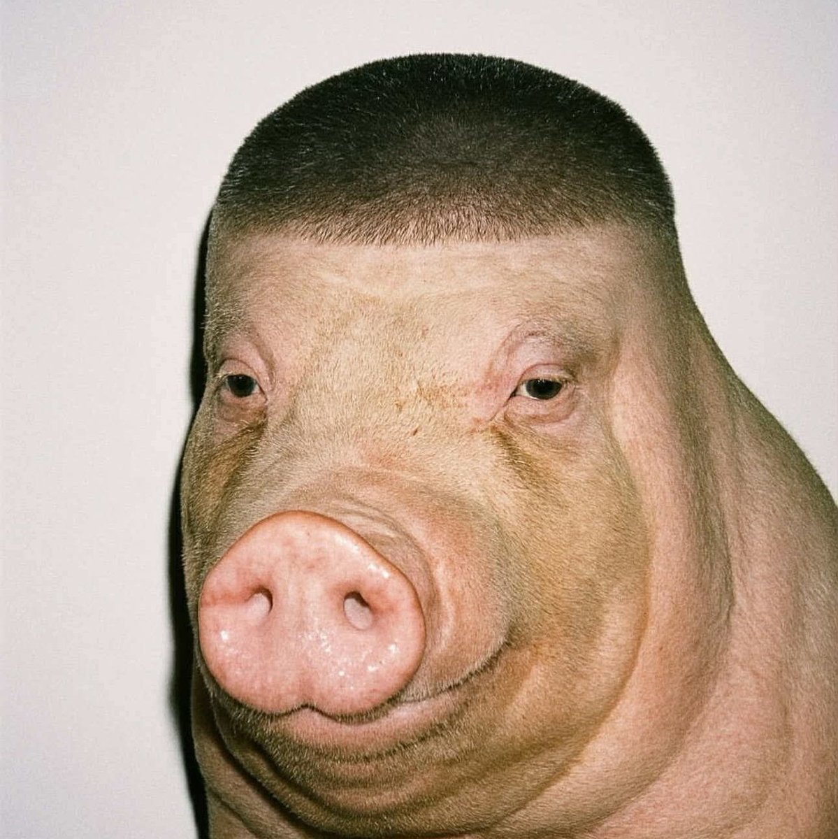 mitsogrande2's tweet image. #NewProfiIePic