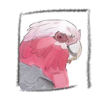 Piedwagt tweet media