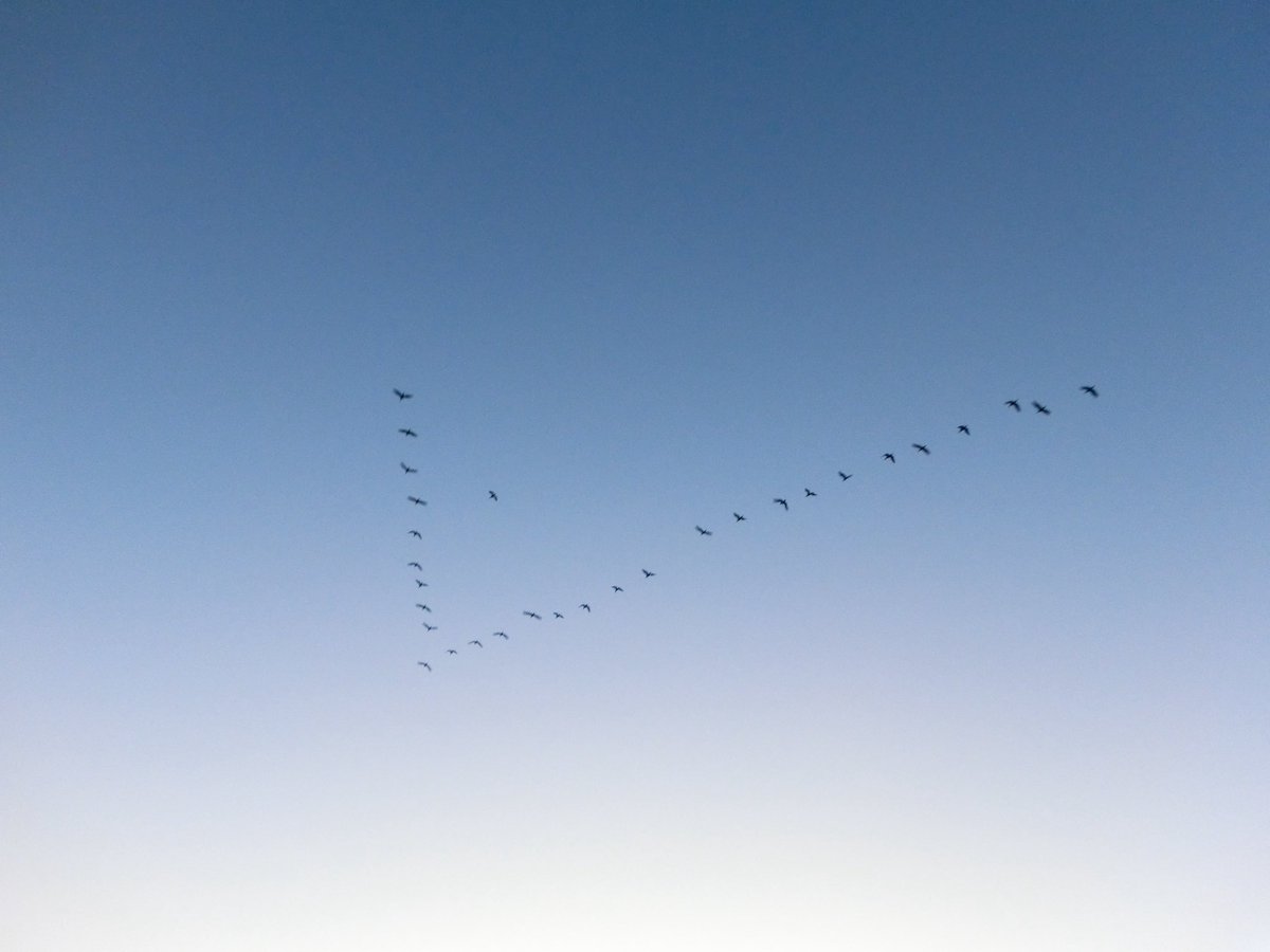 ２０２５。

１年前の今ごろ想像していたよりも
ずっと働いて、
たくさん汗かいた一年でした💦

来年はどんな年になるんだろう。
今からワクワクしてます！

応援してくださった皆さま
お世話になった皆さま
本当にありがとうございました🙇

来年もよろしくお願いします！
良いお年をお迎えください✌️