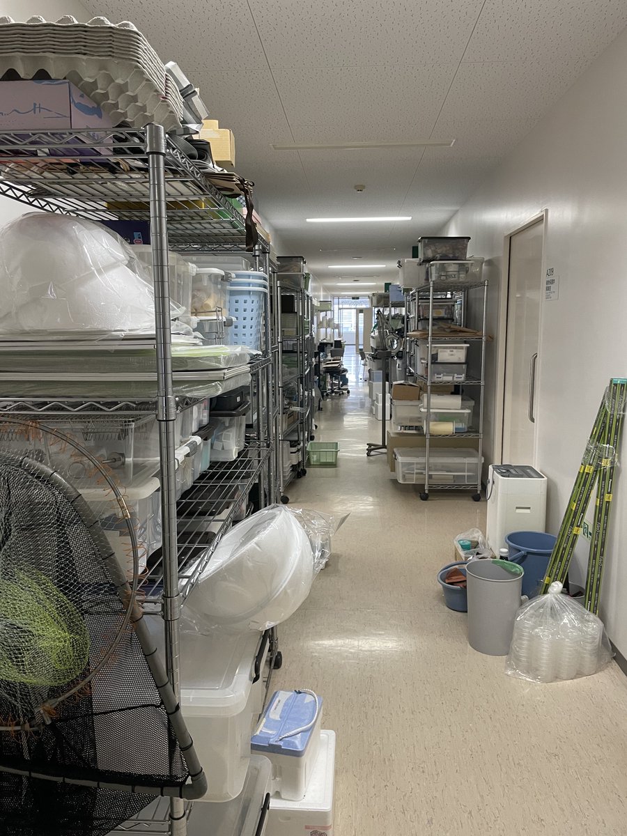 年末は格別慌ただしく過ぎています．12/26には例年通り，研究室の大掃除をしました．私は参加できなかったのですが，学生さんたちが頑張ってくれました．かなり物を捨てたと思うのですが，まだまだ多過ぎます．「論文を書いて，書いた研究の関連物品は捨てていく」という流れが理想なのですが……．