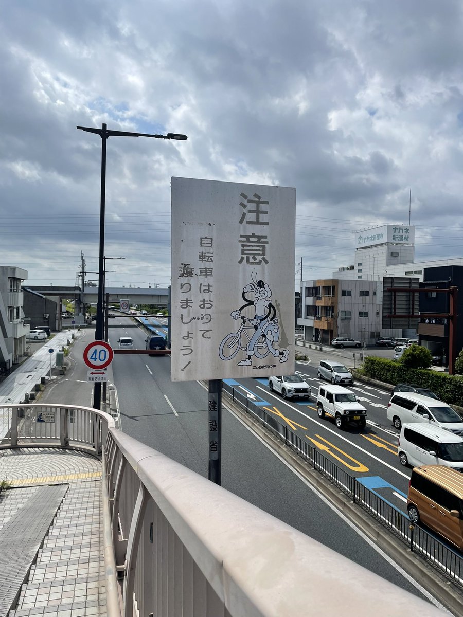 shima_uminchu's tweet photo. https://t.co/rjY8UXymZQ