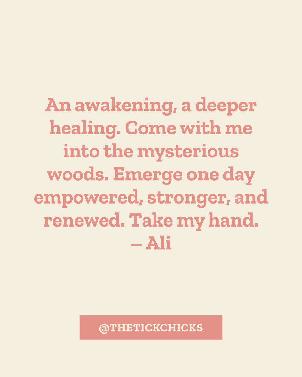 The Tick Chicks tweet media