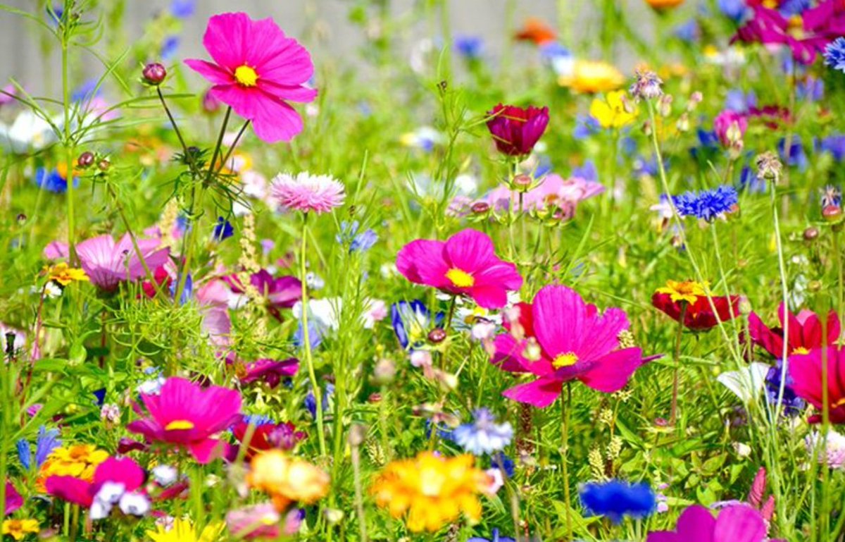 Eva Kueller 👜 tweet media