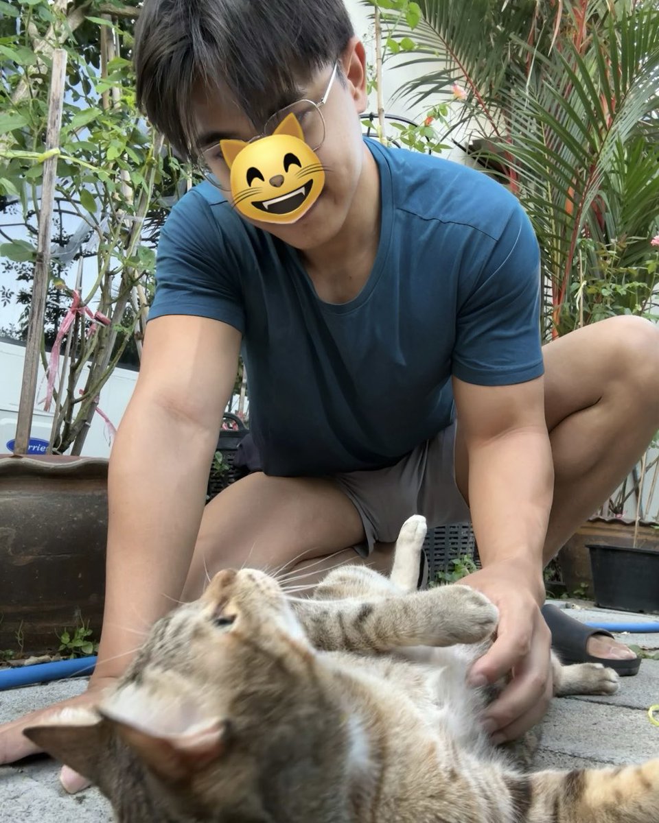 NtrioCK's tweet image. ฟัดแมวข้ามปี