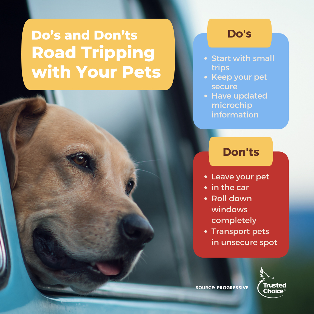 AVInsGroup's tweet image. Want to take your pet with you on your next adventure? Remember these do’s and don’ts! #AVInsGroup #Ohio

Contact us at 740-397-7373 or avinsurance@outlook.com

Visit our website at avinsgroup.com