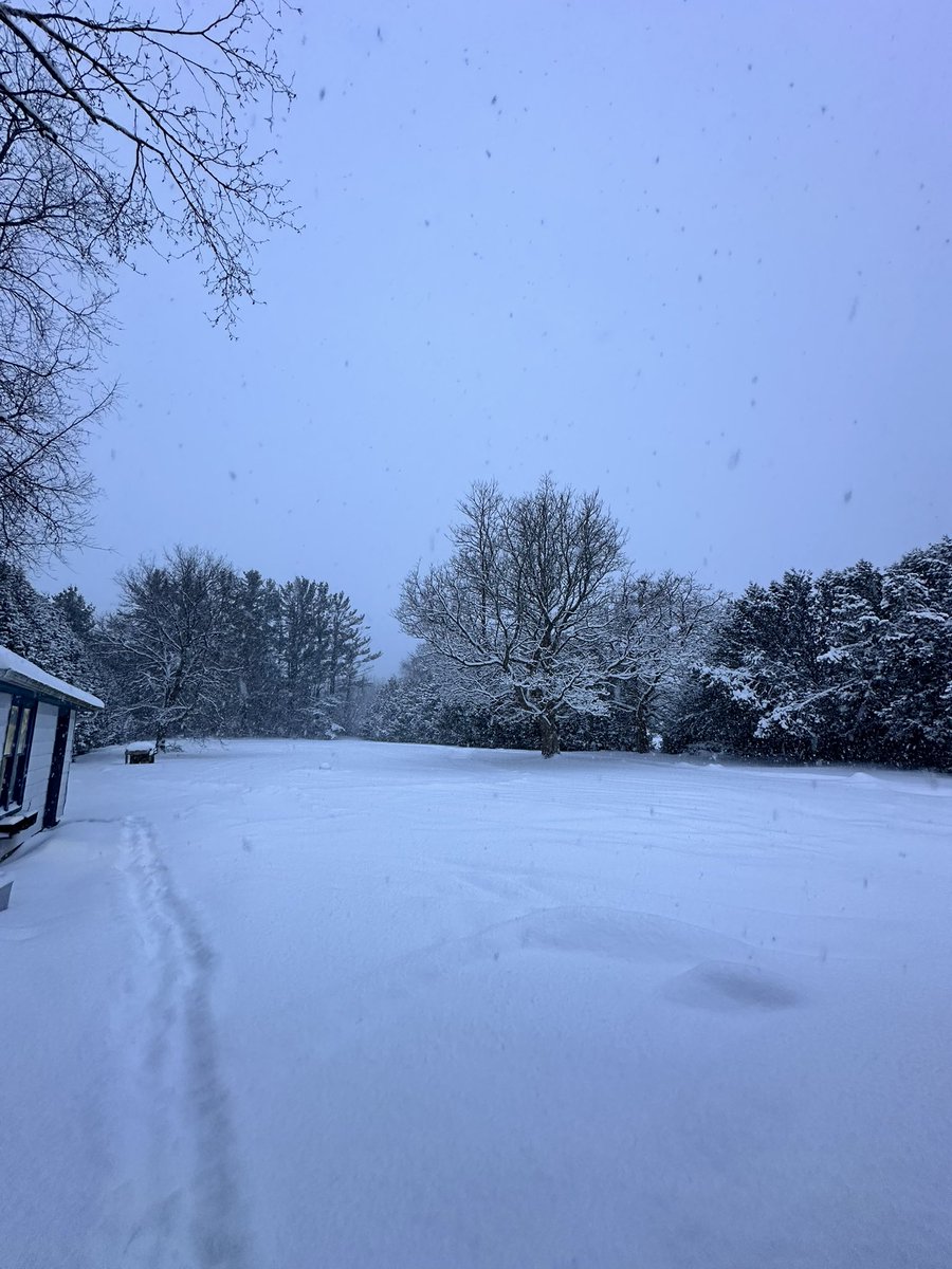 Dev⛰️ tweet media