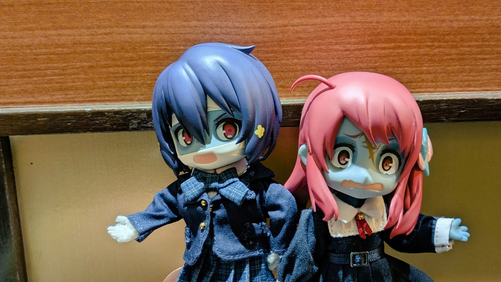 #ゾンビランドサガ
初めて応援上映に参加してみた
これは撮りどころで撮れず、どこで撮ってるんだという写真