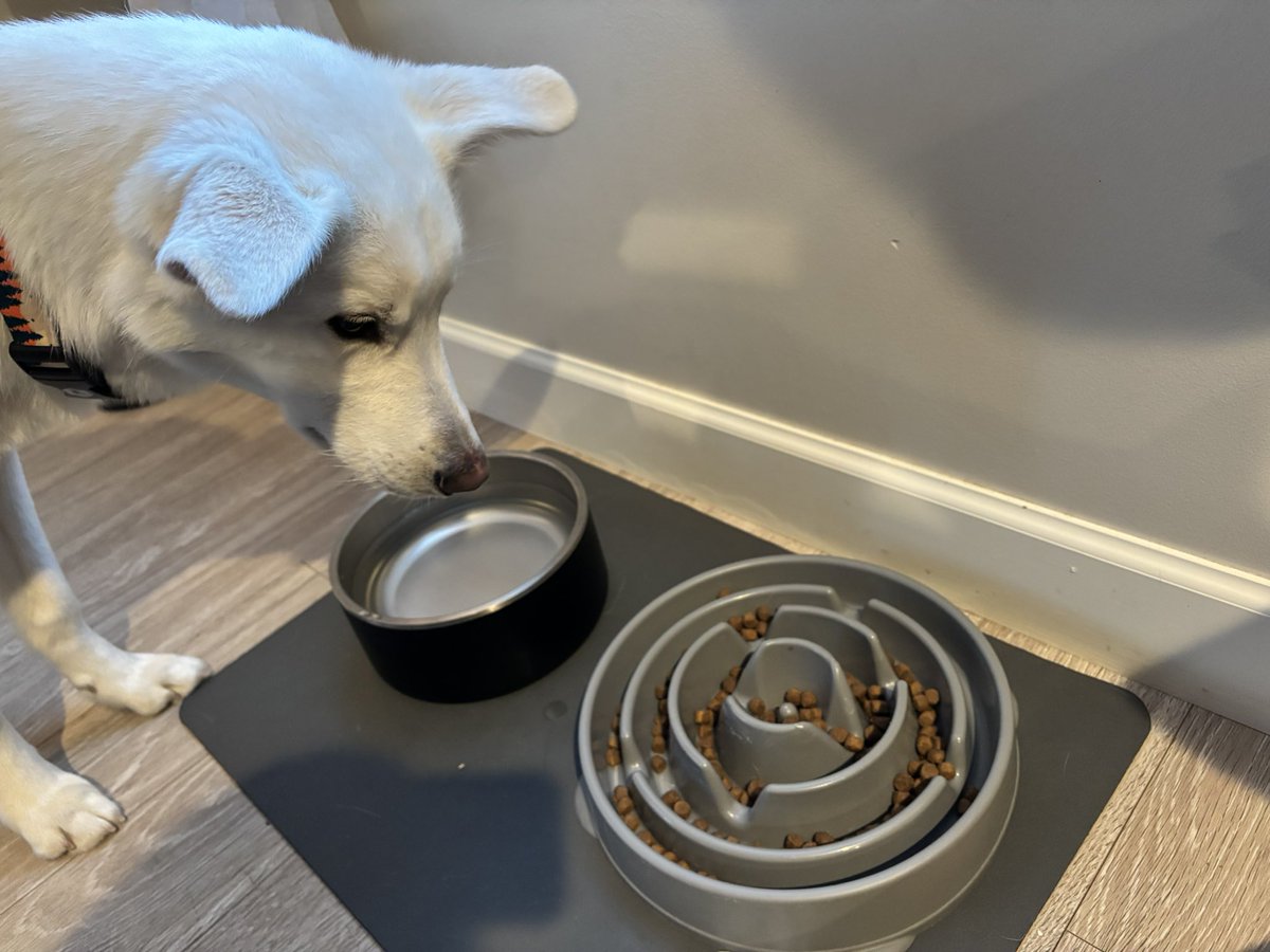 Puzzle demonstrating what zero distractions looks like.

What do you want to focus on in 2026? What is a distraction? What do you want to cultivate in your life and what do you want to prune from it?