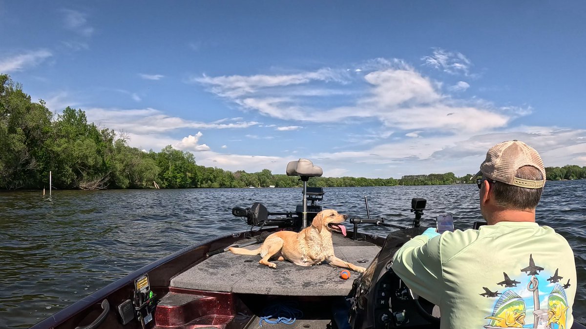 mnbassguide's tweet photo. @buitengebieden To one of my favorite accounts on X, thank you. Happy New Year’s Eve to all from me and Oakley. https://t.co/kEZHyDxvP8