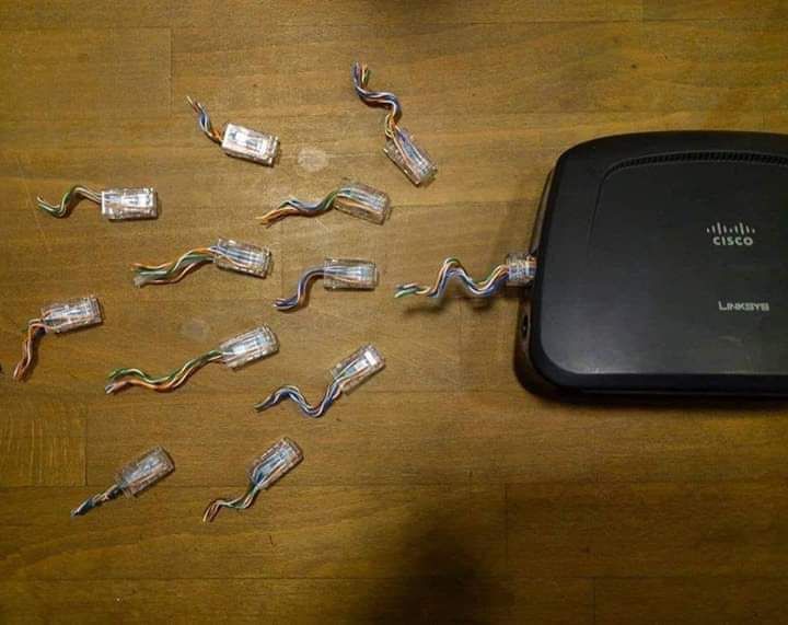 And that's how the internet was born