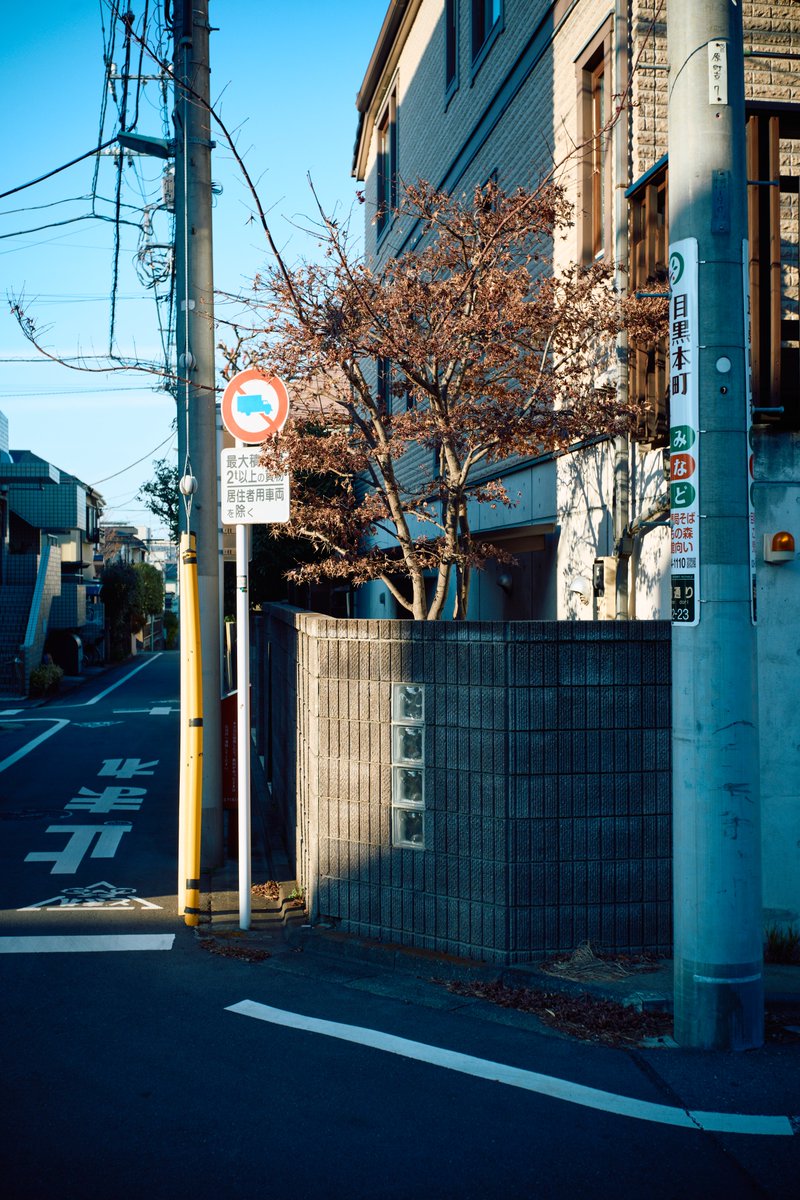 KannistoJuha's tweet photo. Yesterday I enjoyed a long walk from Ebisu to Gakugei University Shopping Street area with my Sony #A7CII & #MSOptics H-Prot 40/6.3. Found a nice local 油そば restaurant on the way too. More: https://t.co/Jk1BSz9bFm https://t.co/xxG1nWLprQ