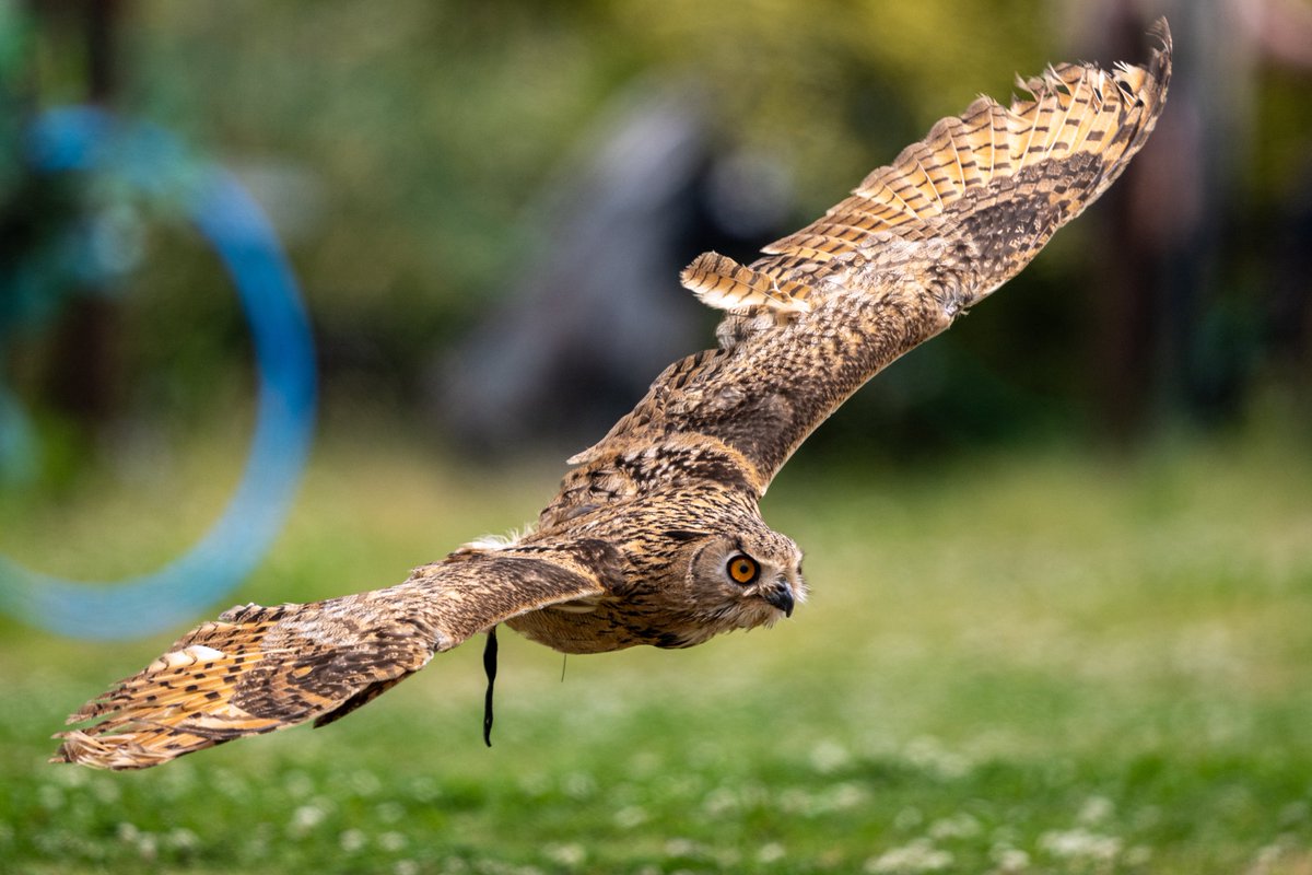 #2025年を写真4枚で振り返る
今年も沢山遠征をして撮影ができました
来年からは社会人になりますが今後も精進していきたいと思います