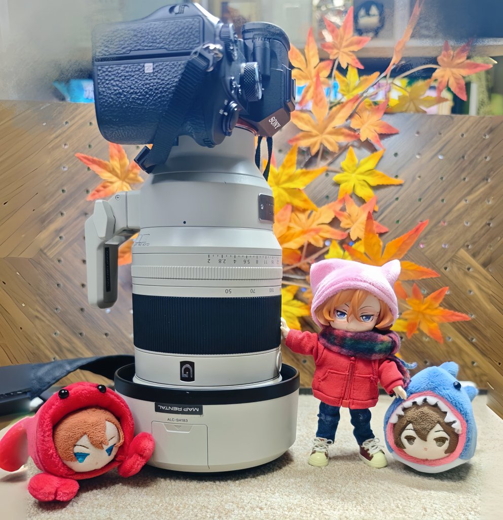 2025年📸写真見てくれた方ありがとうございました✨
来年もよろしくお願い致します

約50万〜くらいするレンズをレンタルしたので，昨日📸友達✨撮らせてもらった☺️ドールはどうなるかな♫
今から年始🎍撮影するぞ！