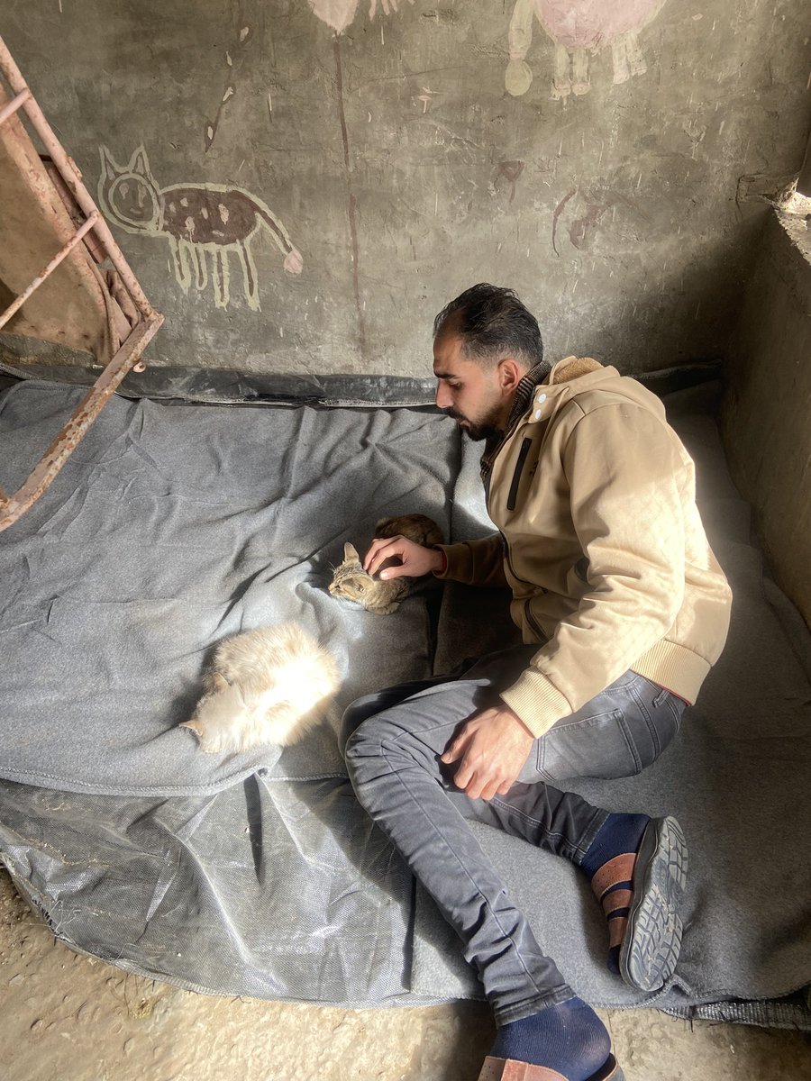 SARAMoh69489245's tweet image. Thank you, my friends, for showing me and my family your unconditional support for over two years. ♥️🫂People are talking about the years end, and it made me think that I'm grateful for how things are now.🥹 Only this January my wife and Maria and I still lived in a tent,⛺️💔 and…